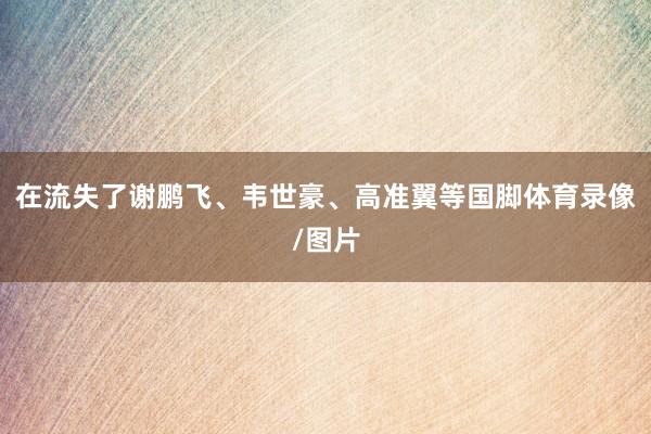 在流失了谢鹏飞、韦世豪、高准翼等国脚体育录像/图片