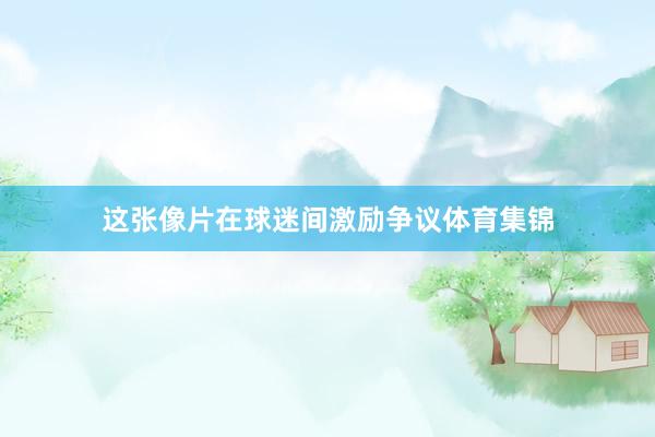 这张像片在球迷间激励争议体育集锦