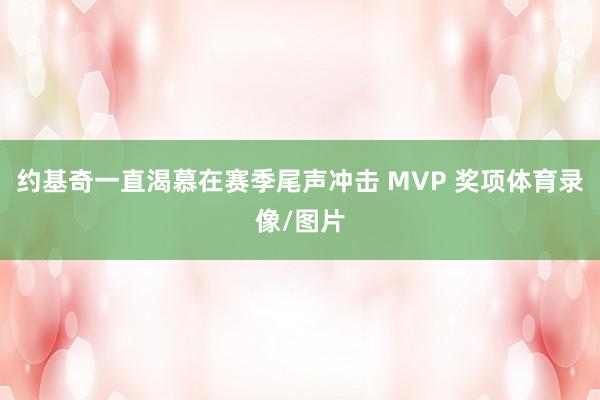 约基奇一直渴慕在赛季尾声冲击 MVP 奖项体育录像/图片