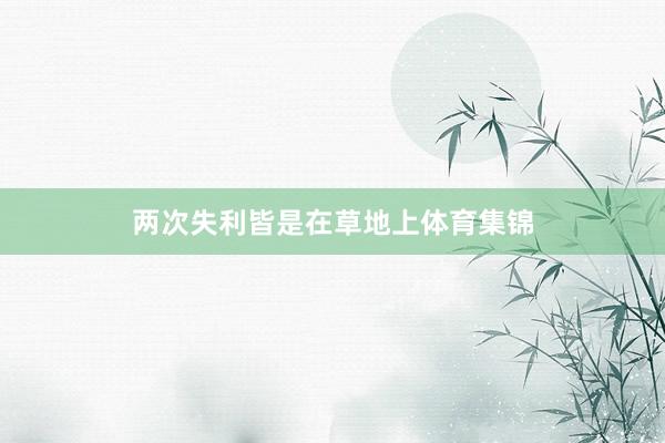 两次失利皆是在草地上体育集锦