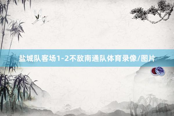 盐城队客场1-2不敌南通队体育录像/图片