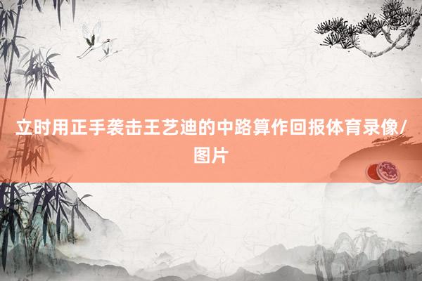 立时用正手袭击王艺迪的中路算作回报体育录像/图片