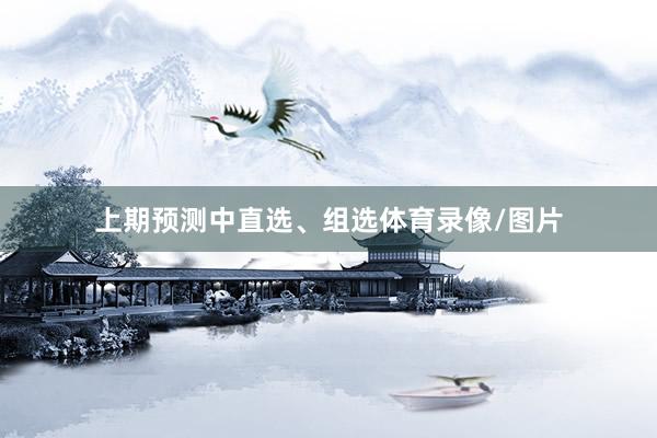 上期预测中直选、组选体育录像/图片