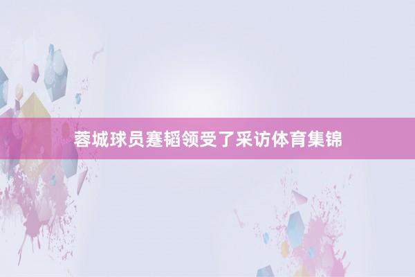 蓉城球员蹇韬领受了采访体育集锦