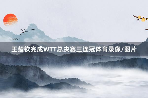 王楚钦完成WTT总决赛三连冠体育录像/图片