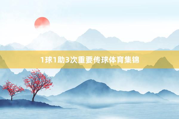 1球1助3次重要传球体育集锦