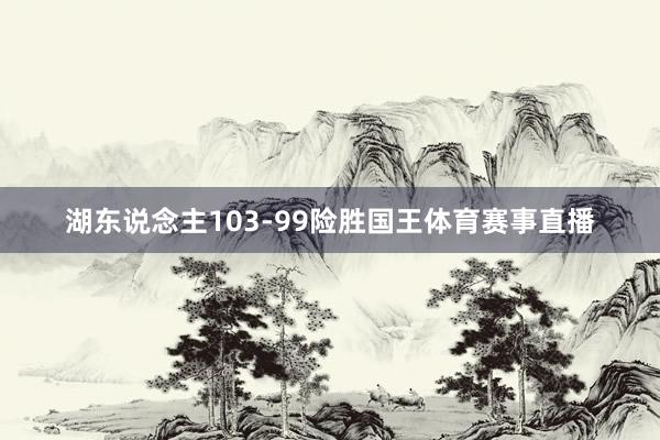 湖东说念主103-99险胜国王体育赛事直播