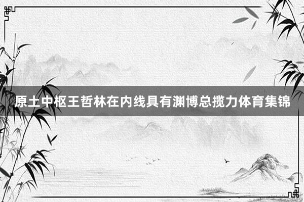 原土中枢王哲林在内线具有渊博总揽力体育集锦