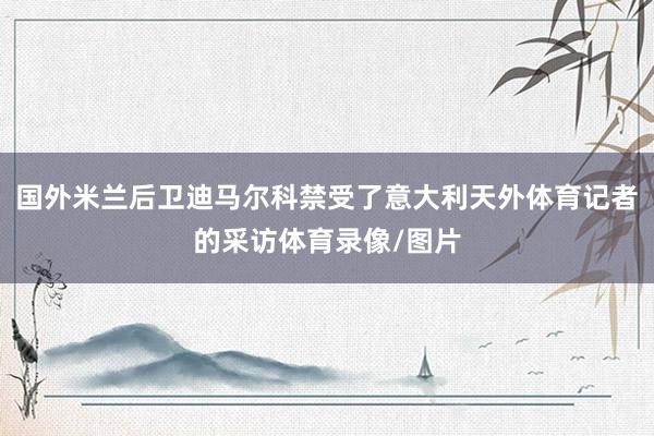 国外米兰后卫迪马尔科禁受了意大利天外体育记者的采访体育录像/图片