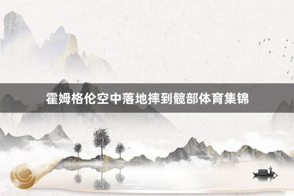 霍姆格伦空中落地摔到髋部体育集锦