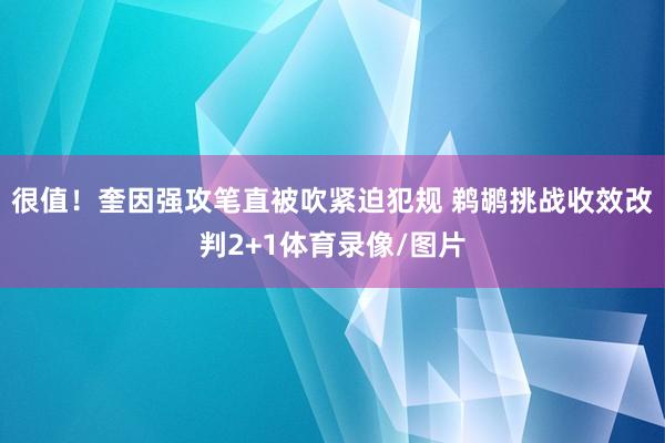 很值！奎因强攻笔直被吹紧迫犯规 鹈鹕挑战收效改判2+1体育录像/图片
